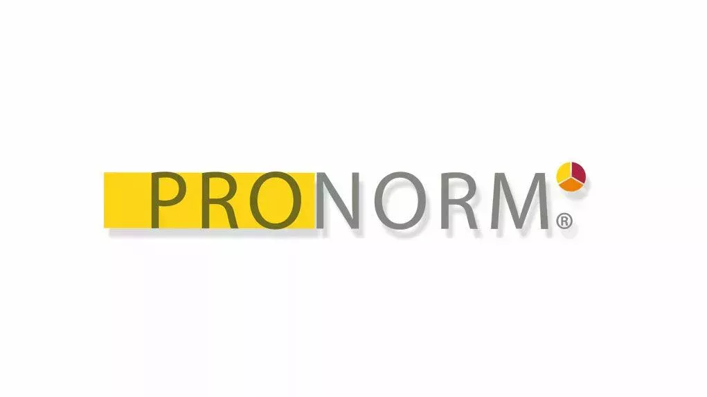 PRONORM Consulting GmbH Logo